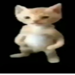 g҉e҉n҉e҉r҉i҉c҉ a҉n҉i҉m҉e҉ g҉r҉o҉u҉p҉