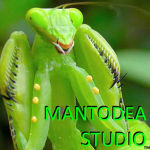 MANTODEA STUDIO