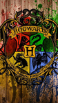 Ravenclaw456
