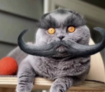 snarvindur