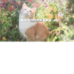 Pᴜᴍᴘᴋɪɴs ɢʀᴏᴜᴘ!