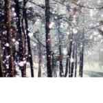 Snowing angels