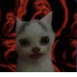 Otra ves los o-ta-kus atacan UwU