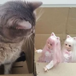 nemukko Group Thumbnail