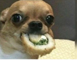 Amig@s :v xD