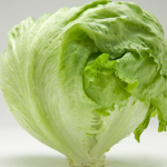 Marcito's lettuce
