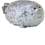 poop fart haha!!!!!!!