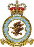[RAF] No.11 Squadron