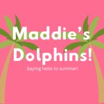 Maddie's dolphins!