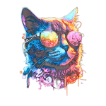 The Cool Catsters