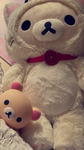 iolixe<3