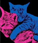 -w1ll0wz-ar meow-