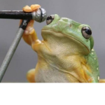 *I my little frogs I*