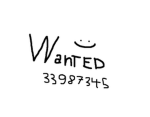 ' Wanted