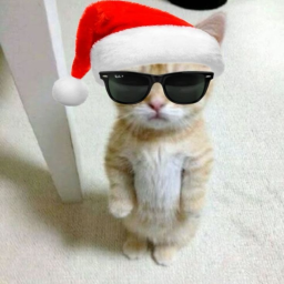 Survive EL GATO