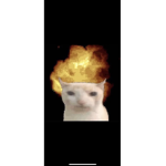 BOB the man robux