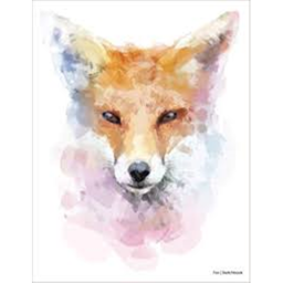 Fox  den