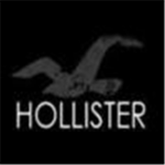 hollister limits