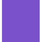PURPLEBIRD