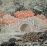 mads cottage