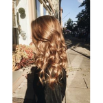 Aesthetic hairs