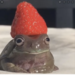 DA FROGGY GANG!!!!!