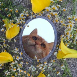 ☆