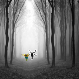 stuck in a forest