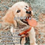 d o g g i e