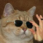 Buff cat productions