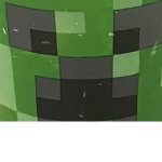 The Minecraft fan group..