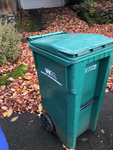 Evergreen public schools