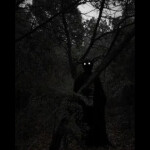 RUN AWAY FROM DEMONS IN THE FOREST AT NIGHT😨😱😱