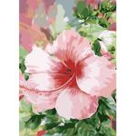 Clothing from flower