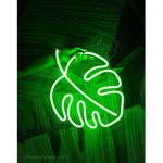 Toxic Vibesss