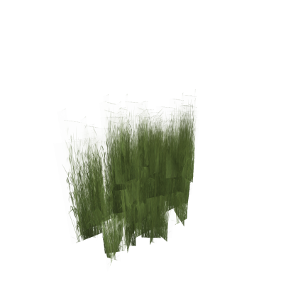 grass