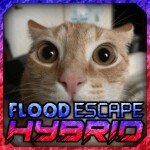Flood Escape: Hybrid