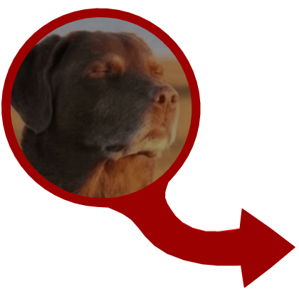 Dog Chill Eyes Closed Face Pointing Roblox item