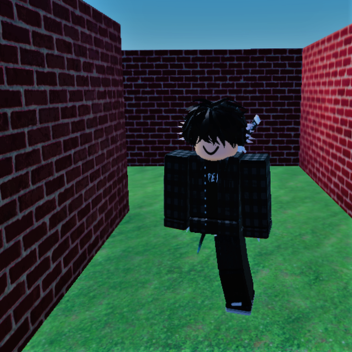 The Maze