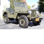CAT FANS ONLY (FAN GROUP)