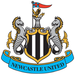 [RSCL] NewCastle Pitch