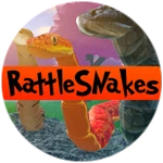 RattleSnakes Class