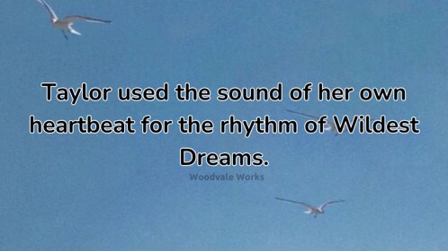 taylor swift facts