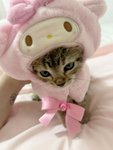 cwutiess~