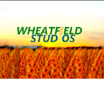 WheatField Studios