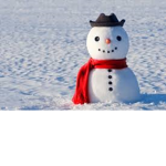 Winter Frost Group