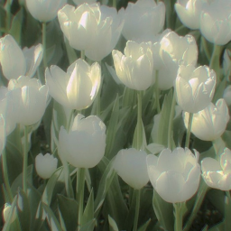 ⋅˚‧ ୨୧ ‧˚ ⋅