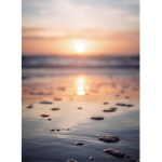 You can daydream