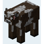 cow co