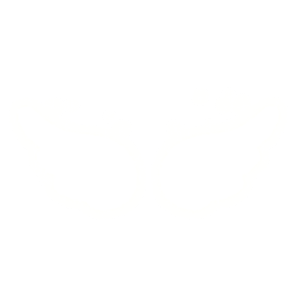 Angel White Wings Glow Sparkle Aura Confetti Roblox item